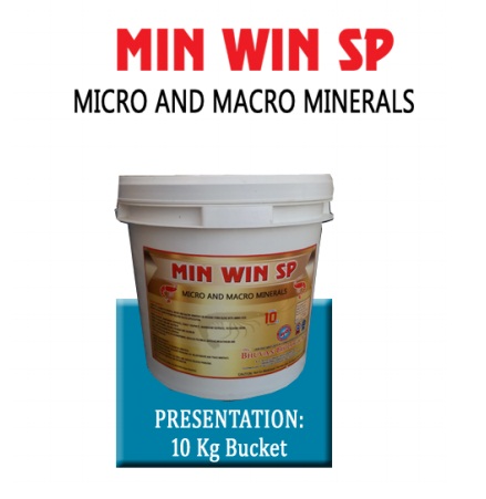 MIN WIN S.P - MICRO & MACRO MINERAL